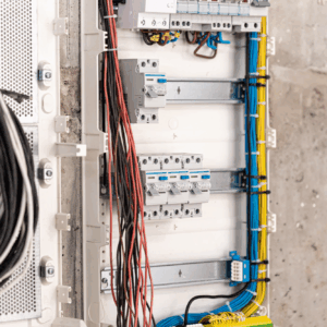 obraz_2025-08-13_103025634